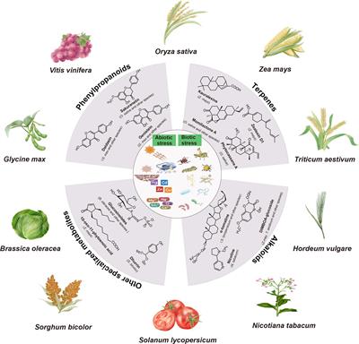 Frontiers | Stressing the importance of plant specialized